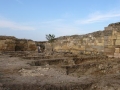 Poze Constanta | Cetatea Histria