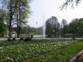Parcul Craiova