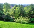 Peisaj