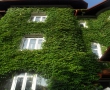 Vila Victoria Sinaia