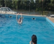 Poze Piscina