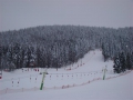 Partia de Ski