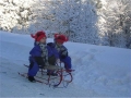 Imagini sanius Predeal | Galerie Foto Statiunea Montana Predeal