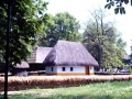 Poze bucuresti | Muzeul satului Bucuresti