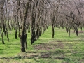 Parcul Tineretului | galerei Foto Bucuresti