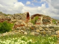 Ruine Cetatea Histria