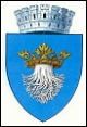 Sigla istorica a orasului Brasov,istoria Brasov