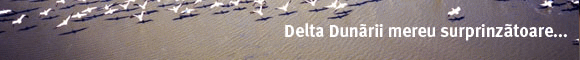 Delta Dunarii Romania | Oferte Cazare in Delta Dunarii